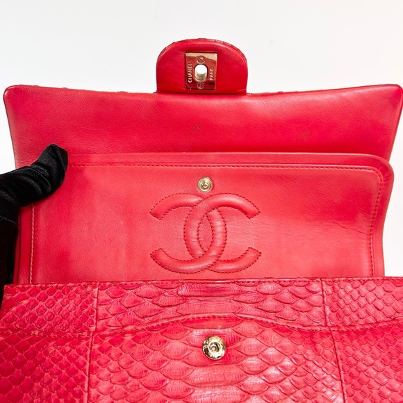 Chanel Python Medium Double Flap Bag - Picture 10 of 16